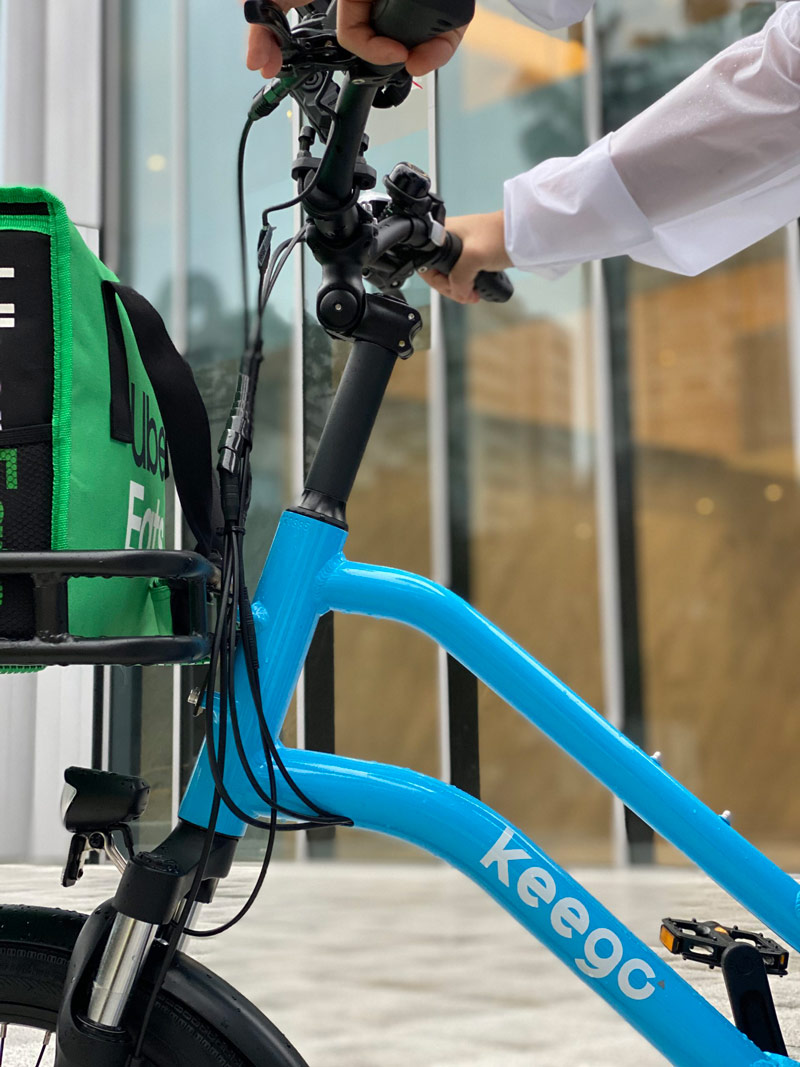 Delivery Ebike KG4 - Keego Mobility