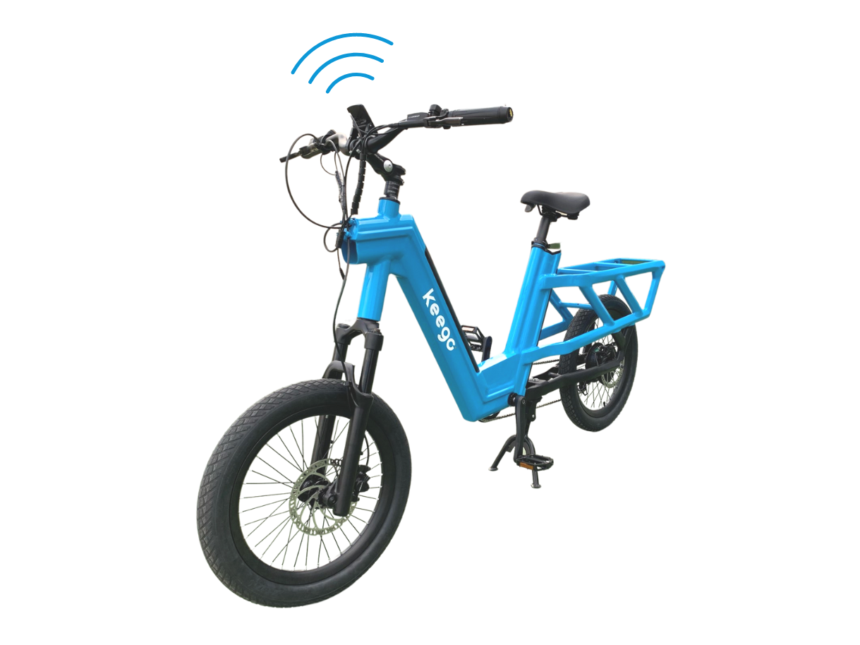 Smart and Stable - KG3 Delivery Ebike